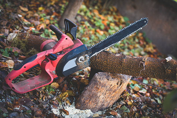 Best Stump Grinding and Removal  in Arlington Heights, IL